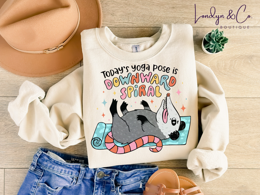 Downward Spiral Sweatshirt
